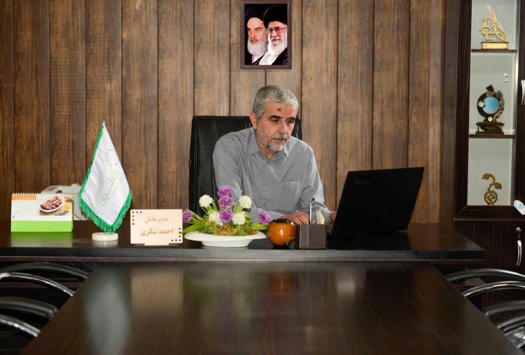 مدیر عامل